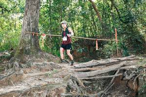 BIB: 
                            <button type="button" onclick="openModal(27805949)" class="btn btn-primary btn-sm float-right btn-popup" data-toggle="modal" data-target=".modal-high-quality">
                        <i class="fas fa-shopping-cart"></i> Add to Cart
                    </button>
                                            <button type="button" onclick="isThisMe(27805949, true)" class="btn btn-success btn-sm float-right btn-popup btn-isme hidden" data-toggle="tooltip" data-placement="bottom" title="นี่คือรูปของคุณใช่ไหม คลิกที่นี่เพื่อเอาเข้าอัลบั้ม">
                        <i class="fas fa-plus"></i> Add to album
                    </button>
                    <button type="button" onclick="isThisMe(27805949, false)" class="btn btn-warning btn-sm float-right btn-popup btn-isnotme hidden">
                        <i class="fas fa-ban"></i> Remove from album
                    </button>